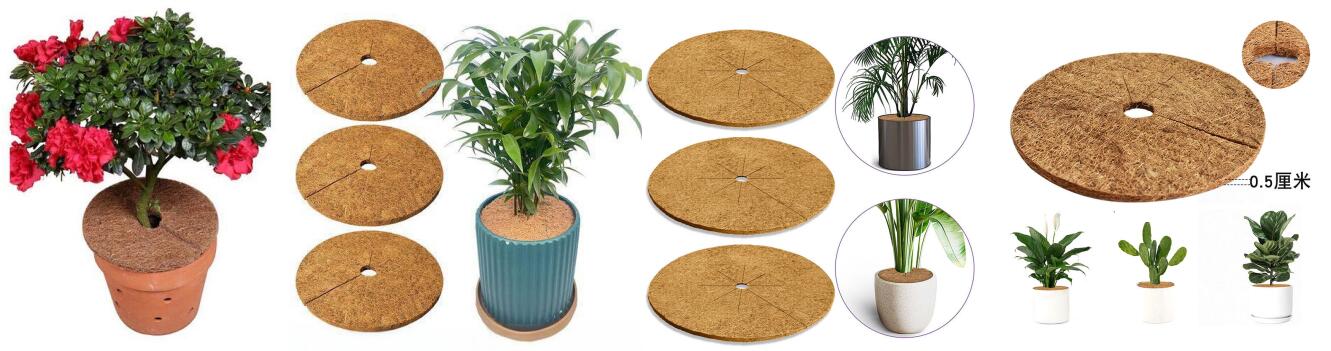 Coco Coir Plant Cover